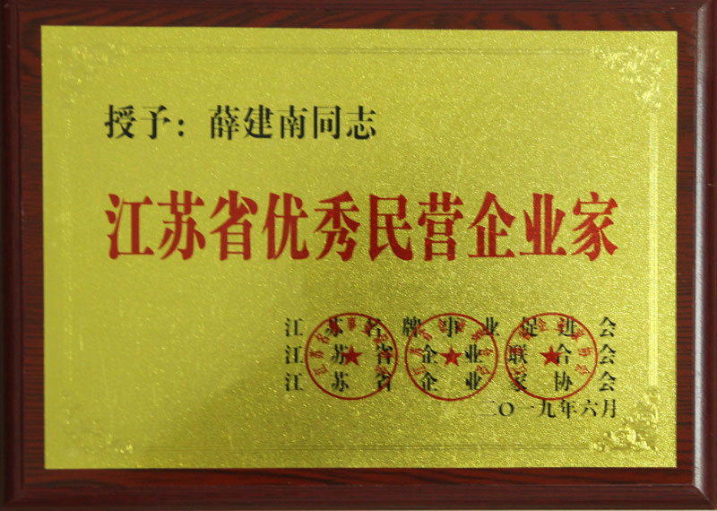 江苏省优秀民营企业家